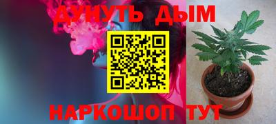 гидропоника Кингисепп