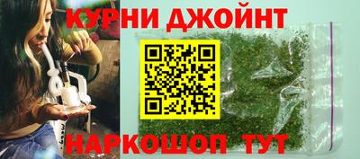 гидропоника Кингисепп
