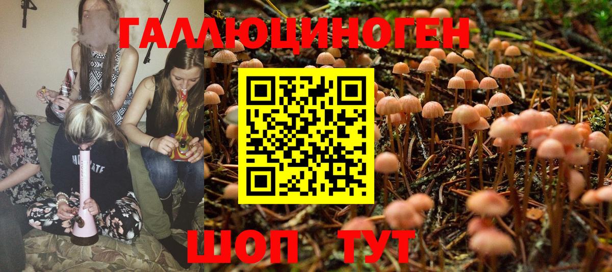 Владикавказ  Псилоцибиновые грибы MAGIC MUSHROOMS  Вход с VPN 